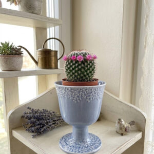 Pastel blue ceramic footed goblet planter with a fine crackle glaze and white raised floral decorations around the rim and base, displayed with a blooming cactus.