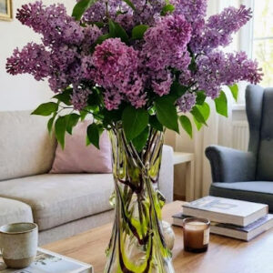 A massive, thick-walled art glass vase with a hand-pulled crown rim, featuring vibrant yellow-green and deep purple swirling patterns inside the clear glass. Flawless collector condition. Photographed with a bouquet of lilacs in a living room setting, and against a sparkling background